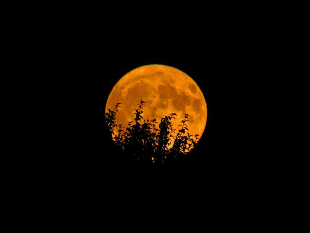 image of orange moon